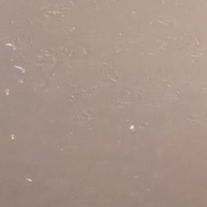 Meet your Posher, Mario